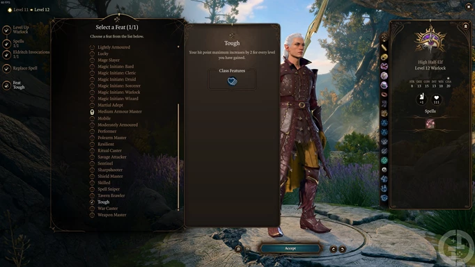 a level 12 Warlock in Baldur's Gate 3