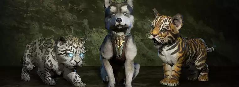 How to unlock pets in Diablo 4