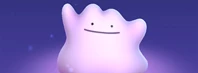 Ditto Disguises Capture Transform Screen Pokemon Go