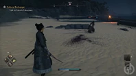 Rise Of The Ronin Fighting On The Beach