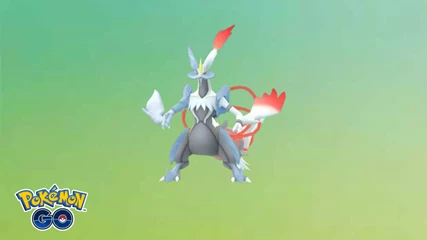 White Kyurem Pokemon Go