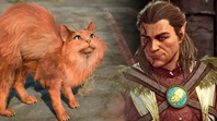 Baldur's Gate 3 Cat Run