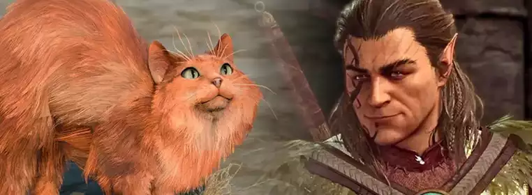 Baldur’s Gate 3's cat run is the purrfect way to play