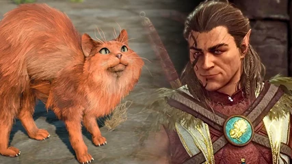 Baldur's Gate 3 Cat Run